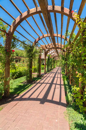 Stone brick passageway beaneth an arbor at a sunny garden wedding venue. The wooden structure is wrapped with vibrant green vines and surround by lush greenery.の写真素材