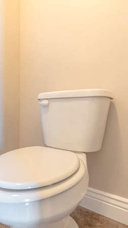 Vertical White toilet and cistern in a bathroom. White toilet and cistern in a bathroom or restroom with neutral decor in a close up corner viewの写真素材