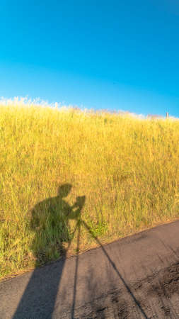 Vertical frame Road amid grasses and passing under a bridge that crosses over a shiny lake. Shadow...