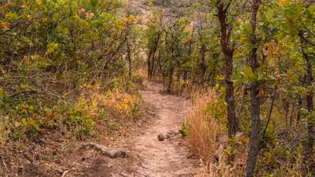 Panorama Hiking trail through the wilderness in Utah, USA. Hiking trail through the wilderness in...