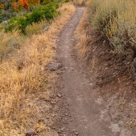 Square frame Scenic view of a mountain hiking trail in Utahの写真素材
