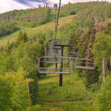 Square frame Vibrant green summer landscape of trees and mountain beneath chairliftsの写真素材