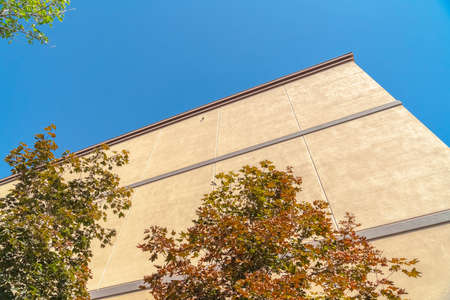 Close up of sunlit building exterior with trees against cloudless blue sky. Concrete wall of a...