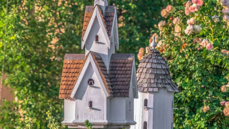 Pano frame Close up of a beautiful birdhouse surrounded by colorful flowers and leavesの写真素材