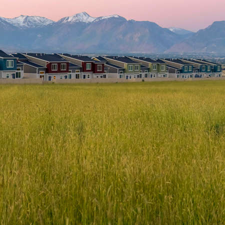 Square frame Green grasses on vast terrain against houses and snowy peak mountain at sunsetの写真素材