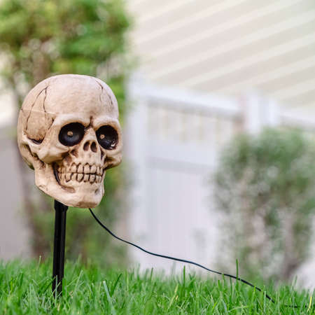 Square frame Ghoulish exterior Halloween light in form of skullの写真素材