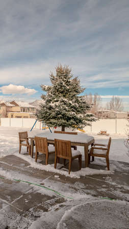 Vertical frame Swept exterior patio with garden in thick fresh white winter snow in the back yard of...