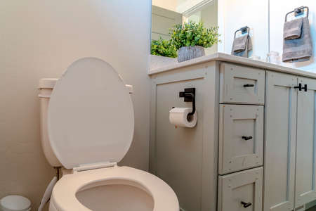 Toilet beside a bathroom vanity with cabinets white countertop and mirror. Tissue roll holder,...