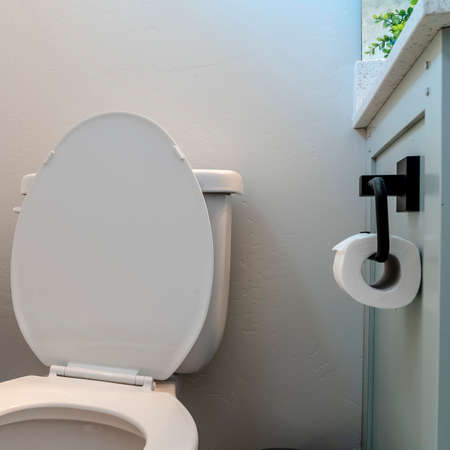 Square Toilet in a home bathroom with trash can tissue roll holder and white wall. Ornamental potted...