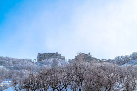 Wasatch Mountain homes surrounded by unspoiled terrain with snow in winter. The sweeping landscape is abundant with frosted trees.の写真素材