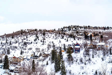 Hill top with family homes and abundant trees against overcast sky in winter. Scenic neighborhood landscape surrounded by snow covered nature views.の写真素材