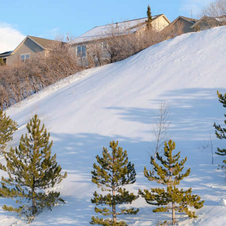 Square crop Young pine trees and houses on snow blanketed slope of Wasatch Mountains. Blue sky and clouds are over the landscape on a sunny winter day.の写真素材