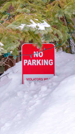 Vertical frame No Parking sign half buried in fresh snow beside a tree with string lightsの写真素材