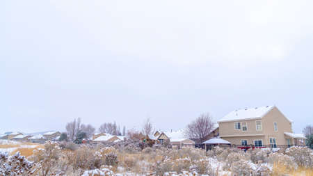 Panorama Frosted neighborhood scenery with houses and plants blanketed with winter snowの写真素材