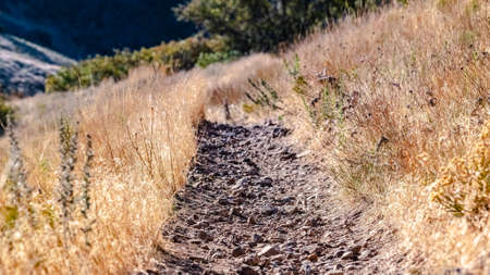 Panorama Gravel footpath or hiking trail through dry grassの写真素材