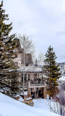 Vertical frame Evergreens and houses on snowy hill in Park City Utah viewed in winter. Scenic...