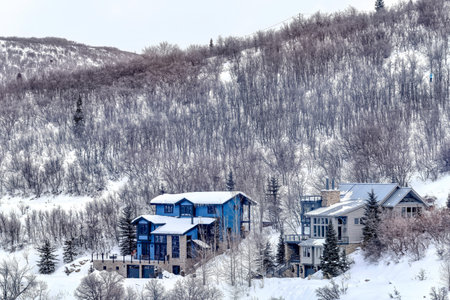 Luxury houses on the snow covered terrain of a mountain town in winter seasonの写真素材