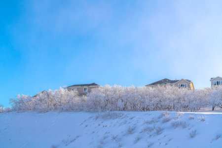 Frosted trees on snowy mountain with houses against vast sky on a winter settingの写真素材
