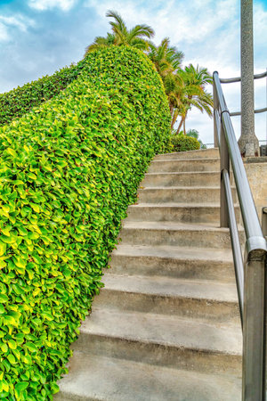 Concrete stairs going up a footbridge over a canal in Long Beach Californiaの写真素材