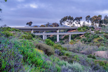 Bridge over mountain covered with lush green foliage in San Diego California