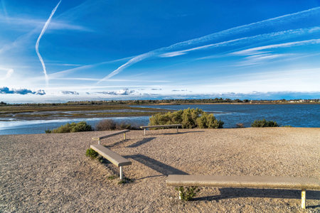 Wood benches with panoramic view of Bolsa Chica Nature Reserve Huntington Beachの写真素材