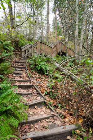 Uphill trail with wooden steps leading to a path with wooden handrails in Tacoma, Washington