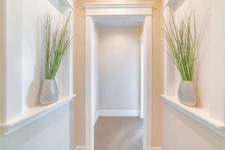 Symmetrical hallway with white cased opening and plants. Interior of a house with two potted plants facing each other with a passage in the middle with carpeted flooring.の写真素材