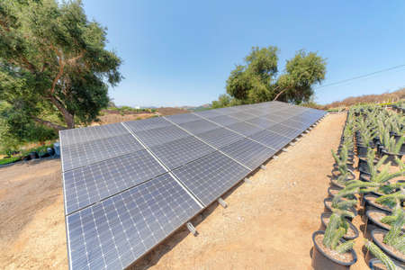 Ground-mounted solar panels on a large field of botanical garden
