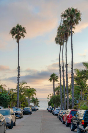 Vehicles parked on the concrete road at La Jolla, Californiaの写真素材