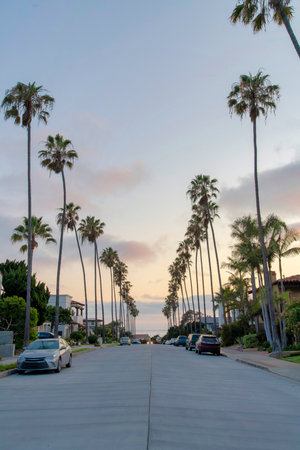 Vehicles parked at the side of a concrete road at La Jolla, California. Residential area with palm trees on the sidewalks and a view of the sea against the sunset sky background.の写真素材
