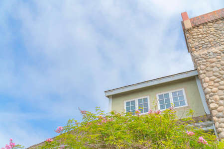 Flowering tree outside a building in a low angle view at Carlsbad, San Diego, California