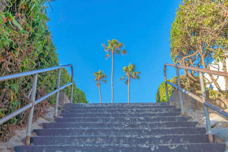 Staircase with metal railings and a view of three palm trees at San Clemente, Californiaの写真素材