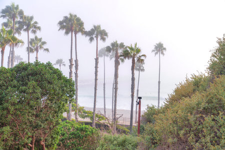 View of a foggy beach of San Clemente in Californiaの写真素材