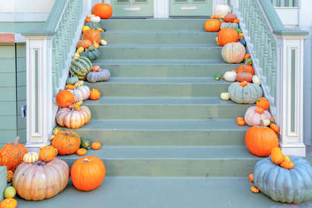 Pumpkins on every steps of the stairs as a holloween decorations at San Francisco, Californiaの写真素材