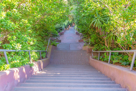 Outdoor staircase with concrete steps and metal handrails at San Francisco, Californiaの写真素材