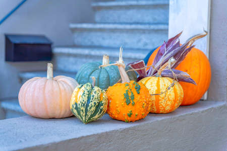 Variety of pumpkins outside the house in San Francisco, California