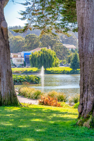 Park in San Francisco, California with a view of a lake with fountainの写真素材