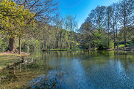 Beautiful landscape of Bull Creek in Austin Texas with stream on a sunny day. Scenic nature views with a calm and gently rippling water along hiking trails with trees and blue sky.の写真素材