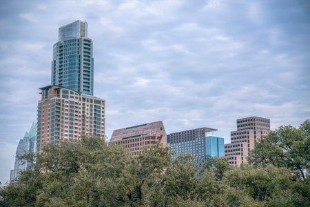 Modern glass buildings behind thick lush green foliage in Austin Texas. Views from Butler Metro Park of the city skyline featuring contemporary architecture against cloudy sky.