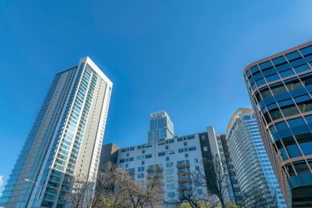 Austin, Texas- Low angle view facade of modern residential buildings. There are trees at the front...