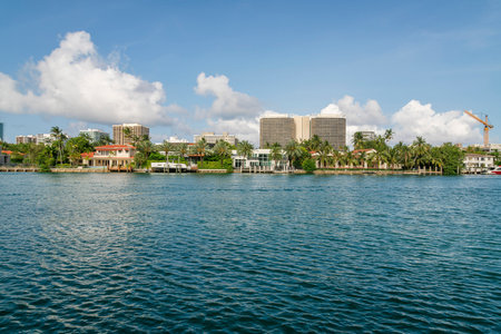 Miami bay skyline above the buildings with trees outdoors at Florida. There is a view of a water at the front and trees outside the different types of buildings and tower crane on the right.の写真素材