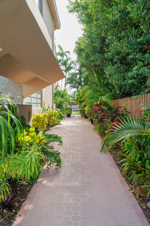 Pathway outside the building near the plants and wooden fence at the Miami bay in Florida. There is a across the woodenn fence on the right.の写真素材