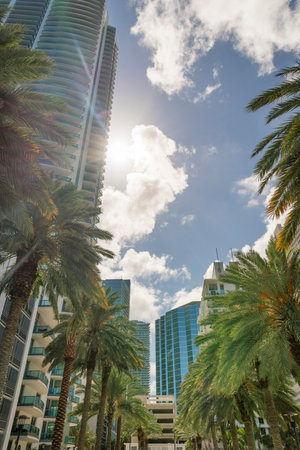 Rows of palm trees and sun behind the condominium building at Miami, Florida. Views of modern multi-storey residential buildings with glass railings at balconies.の写真素材