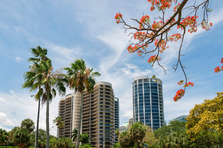 Views of multi-storey condos from below with trees at Miami, Florida. There are palm trees and flame tree on the top left at the front of two residential buildings with modern designs.の写真素材