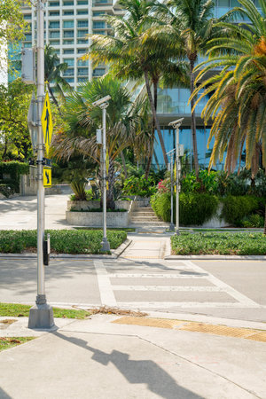 Crosswalk with yellow signs on the post at the side in Miami, Florida. Crosswalk with signages leading to a sidewalk near the bushes and trees at the front of buildings.の写真素材