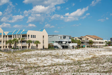 Grasses on a white sand dunes near the fenced residential buildings against the sky in Destin, FL. There are fenced white sand dunes at the front near the residences at the back.の写真素材