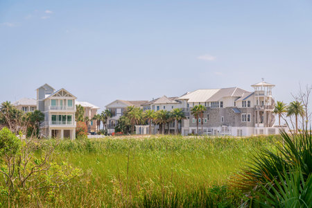 Field of tall green grasses near the residential area with large houses in Destin, Florida. Views of grasses at the front of residential villas against the clear sky.の写真素材