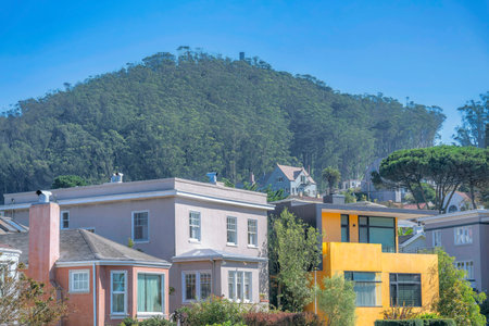 Houses in San Francisco California with blue sky and tall trees background. Beautiful residential landscape with homes and nature beautiful scenery on a sunny day.の写真素材