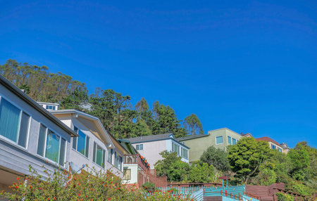 San Francisco California houses amid trees with clear blue sky background. A scenic neighborhood on a beautiful residential landscape on a bright sunny day.の写真素材