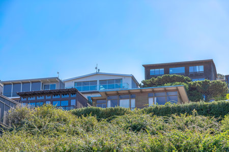 Tall crawling shrubs outside the neighborhood with large houses in San Francisco, California. There are houses with large window walls and balconies against the clear sky.の写真素材